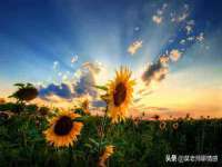 北京万梧科技有限公司