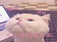 北京万梧科技有限公司