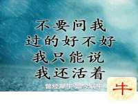北京万梧科技有限公司
