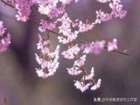 北京万梧科技有限公司