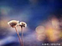北京万梧科技有限公司