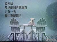 北京万梧科技有限公司