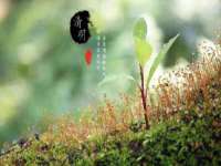 北京万梧科技有限公司
