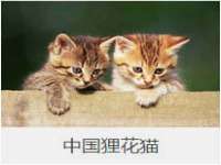 北京万梧科技有限公司