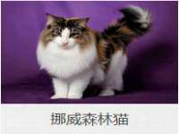 北京万梧科技有限公司