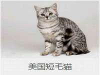 北京万梧科技有限公司