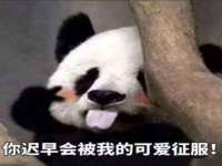 北京万梧科技有限公司