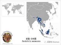 北京万梧科技有限公司