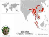 北京万梧科技有限公司
