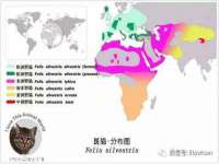 北京万梧科技有限公司