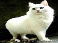 北京万梧科技有限公司