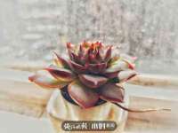 北京万梧科技有限公司
