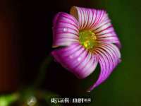 北京万梧科技有限公司