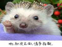 北京万梧科技有限公司