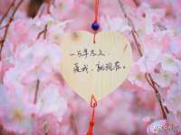 北京万梧科技有限公司