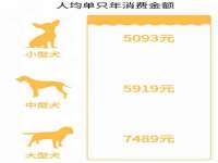 北京万梧科技有限公司