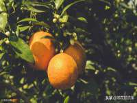 北京万梧科技有限公司