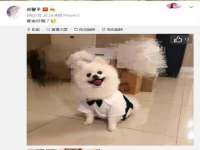 北京万梧科技有限公司