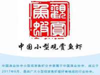 北京万梧科技有限公司
