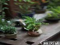 北京万梧科技有限公司