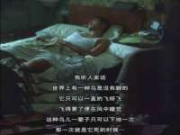 北京万梧科技有限公司