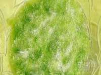北京万梧科技有限公司