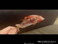 北京万梧科技有限公司